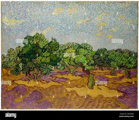 Painting Vincent Van Gogh The Olive Trees High Resolution Stock ...