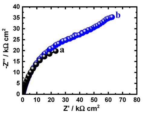 Materials | Special Issue : Corrosion of Metals for Biomedical Applications