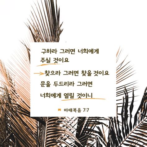 마태복음 7:7-8 - Compare All Versions | YouVersion