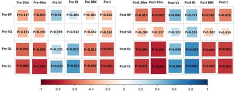 The Squat One Repetition Maximum May Not Be the Best Indicator for ...