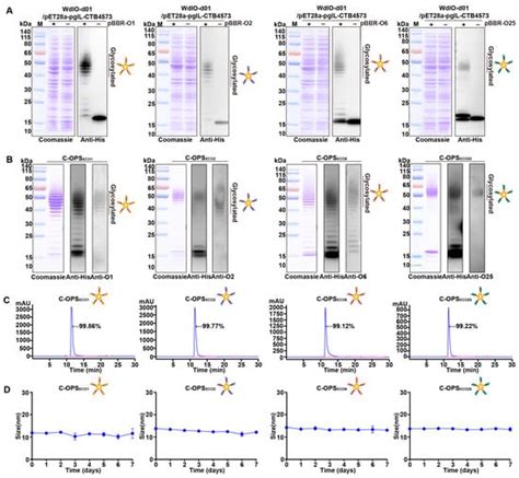 Vaccines | An Open Access Journal from MDPI