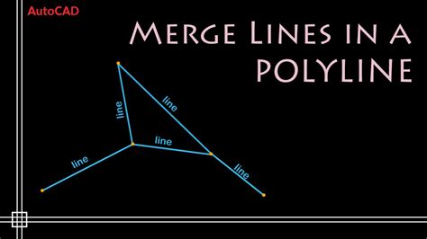 Image result for How to Convert Single Line Object to Polyline Object