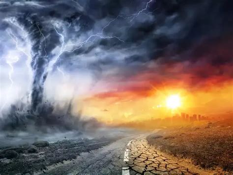 Apocalypse coming? ‘Doomsday fish’ spotted again as ‘New Baba Vanga ...