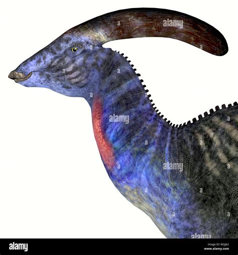 Dinosaur With Horn On Back Of Head