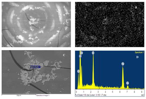 Sulfate Radicals-Based Technology as a Promising Strategy for Wastewater
