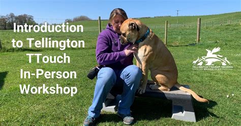 Introduction to Tellington TTouch Workshop, Muddifords Court ...