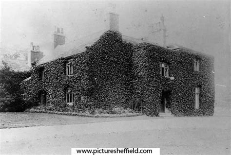 Searching Picture Sheffield