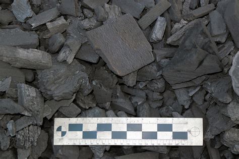 Review of Royal Oak Lump Charcoal -- Naked Whiz Ceramic Charcoal Cooking