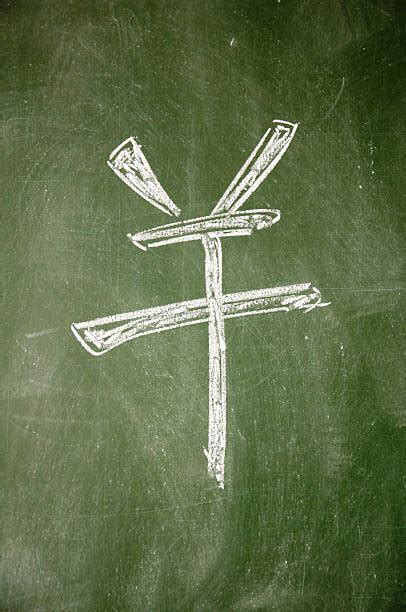 RMB Sign 的图像结果