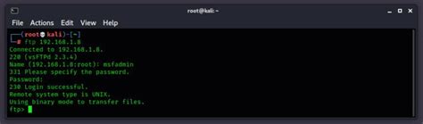 A Deep Dig Into Penetration Testing of FTP Server - Tech Hyme
