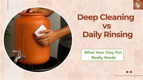 Deep Cleaning vs. Daily Rinsing: What Your Clay Pot Really Needs