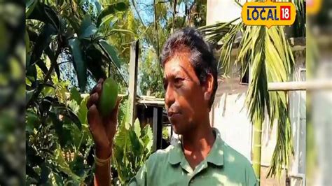 Jalpaiguri News: লাল, সাদা চন্দন থেকে মিয়াজাকি আম! নতুন নতুন চাষে লাভ ...