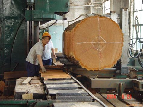 永定所加强对木材加工厂的监管检查-中国木业网