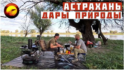 Астрахань! СТИХИЯ РЫБАКА / ДАРЫ ПРИРОДЫ, Отдых и Рыбалка - YouTube