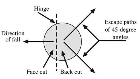 Image result for Tree Felling Escape Route
