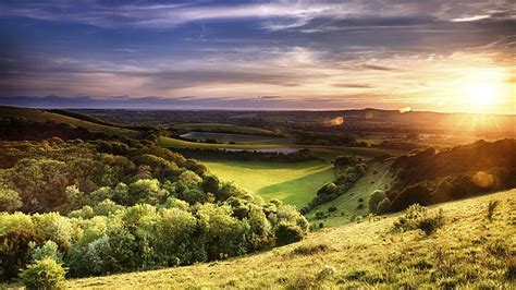 Image result for How to View MLO in Codewalker