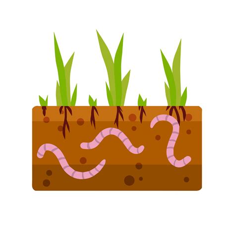Worms under the ground. Insects in soil. Brown earth with small pink animals. Fishing bait ...