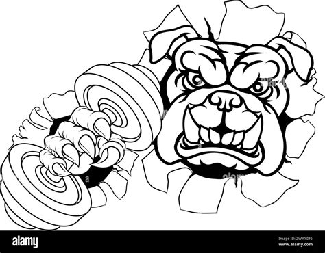 Weight Lifting Gym 的图像结果