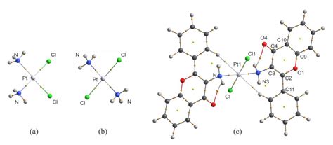 Simple Trans-Platinum Complex Bearing 3-Aminoflavone Ligand Could Be a ...
