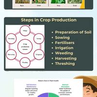 Infographic: Crop Production and Management - Science Class 8 PDF Download