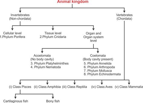 Class 9 Science Question Answers - Diversity in Living Organisms