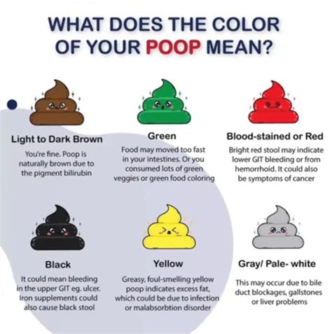 Image result for Healthy Poop Color