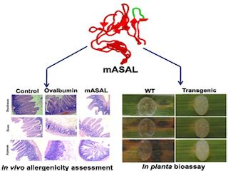 Bose Institute | Science News @ Bose Institute