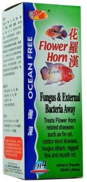 Buy Ocean Free Flowerhorn Medicine- Fungus & External Bacteria Away 150 ...