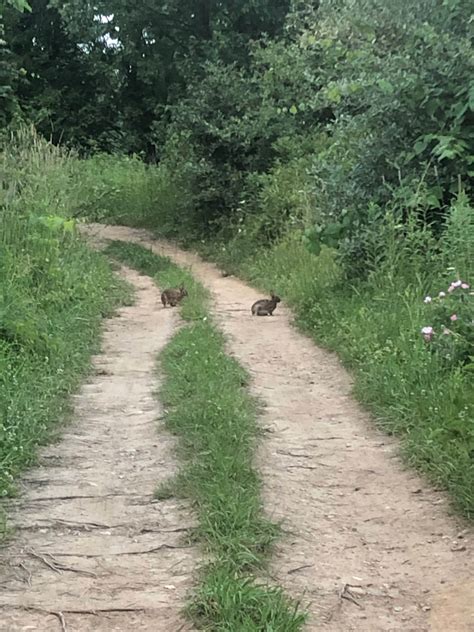 Indian Trail Campground | New London, OH