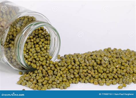 Green gram beans stock photo. Image of moong, gram, bean - 77908718