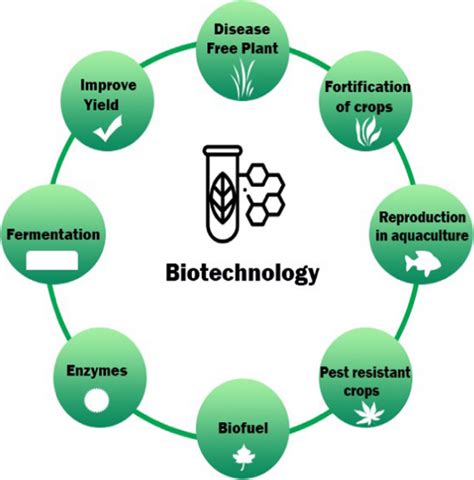 Biotech 的图像结果