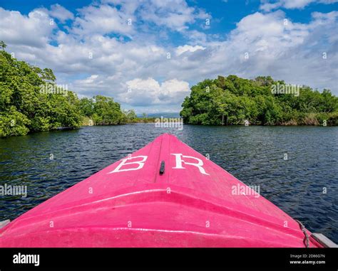Black River Safari, Saint Elizabeth Parish, Jamaica Stock Photo - Alamy