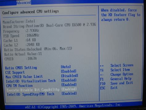 VirtualBox doesn't see processor's PAE and NX capabilities ...