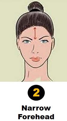 Personality Test: Your Forehead Shape Reveals Your Hidden Personality ...