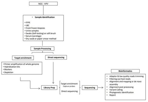 Human Papillomavirus Detection by Whole-Genome Next-Generation ...