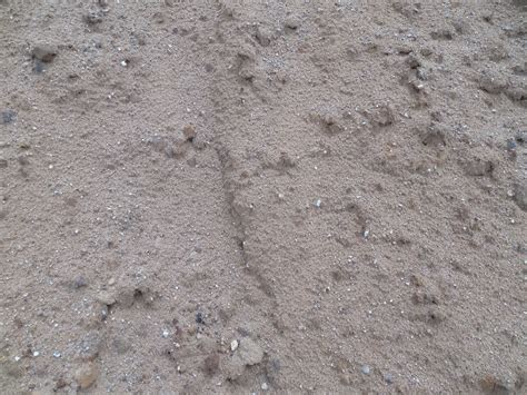 Image result for Fill Sand