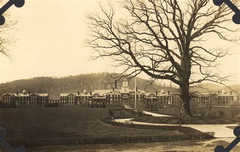 White Oak 'Wernersville White Oak' at Wernersville State Hospital ...