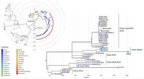 Dengue Types 1 and 3 Identified in Travelers Returning from Kathmandu ...