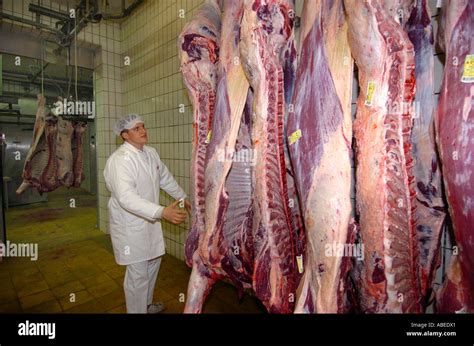 Inside Cattle Processing Plant Video 的图像结果