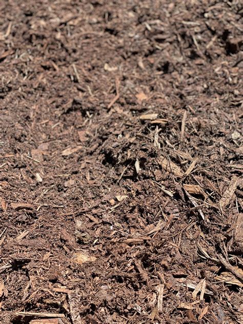 Forest Floor Mulch
