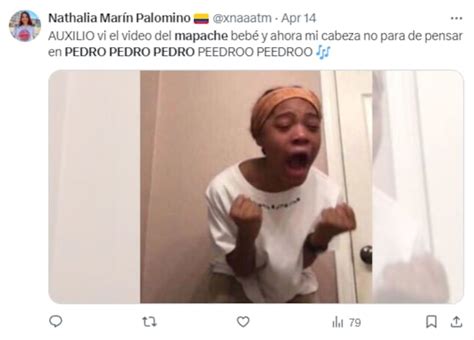 Memes del mapache “Pedro, Pedro” se apoderan de las redes y no podemos ...