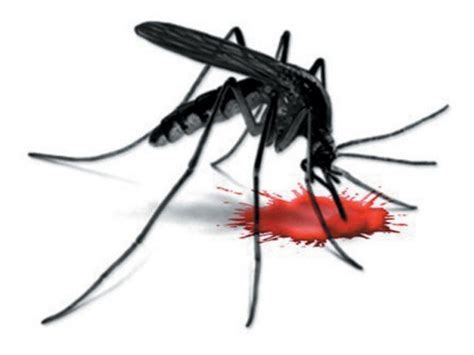 slogan on dengue prevention - Brainly.in