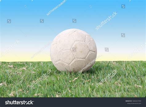 Rustic Sportsfield 的图像结果