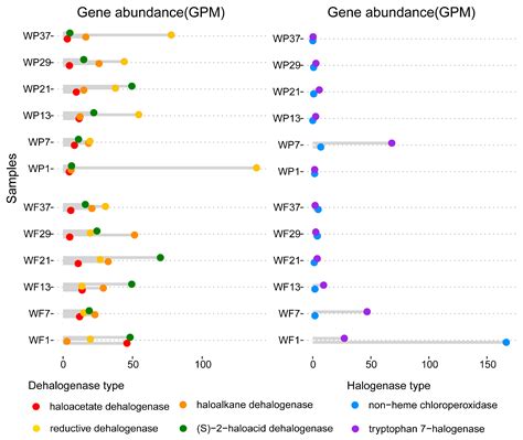 Halogenation and Dehalogenation Potential of Microorganisms in Yangtze ...