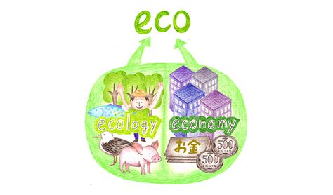 eco- 的图像结果