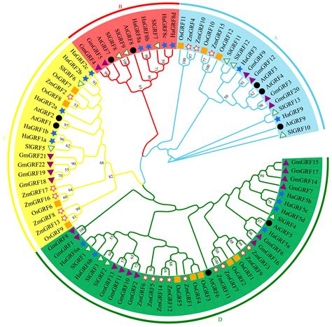 Genome-Wide Identification and Characterization of Growth Regulatory ...