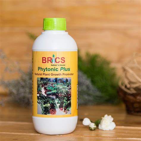 Phytonic Plus - Stonesoup – Stonesoup Shop