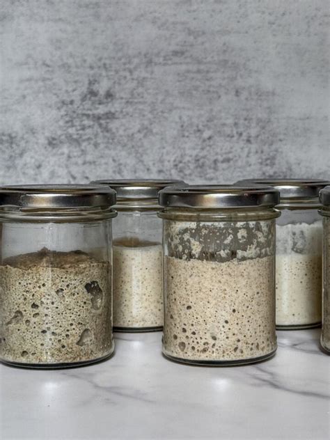 260+ Sourdough Starter Names You'll Love to Talk To Every Day ...