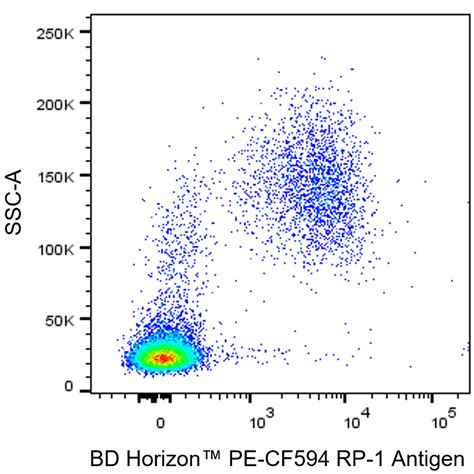 PE-CF594 Mouse Anti-Rat RP-1 Antigen