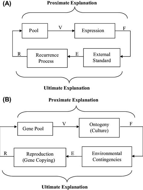 Evolution Process Flow Chart 的图像结果